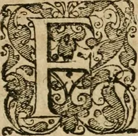 An illustration from Examen fvcorvm psevdo-chymicorvm detectorvm et in gratiam veritatis amantium succincte refutatorum (1617)