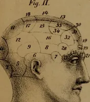 Picture 2 of 12 from An examination of phrenology; (1837), leaf 9