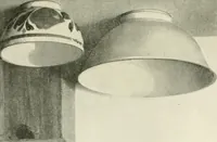 An illustration from Examination questions in biology, botany, chemistry, drawing, geography, physics, zoölogy (1920)