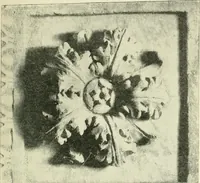 An illustration from Examination questions in biology, botany, chemistry, drawing, geography, physics, zoölogy (1920)