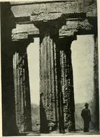 An illustration from Examination questions in biology, botany, chemistry, drawing, geography, physics, zoölogy (1920)