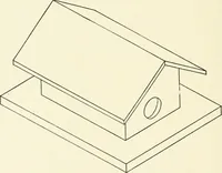 An illustration from Examination questions in biology, botany, chemistry, drawing, geography, physics, zoölogy (1920)