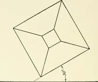 An illustration from Examination questions in biology, botany, chemistry, drawing, geography, physics, zoölogy (1920)