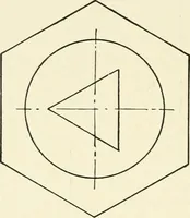 An illustration from Examination questions in biology, botany, chemistry, drawing, geography, physics, zoölogy (1920)