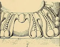 An illustration from Examples of English medieval foliage and coloured decoration, taken from buildings of the twelfth to the fifteenth century: with descriptive letterpress (1874)