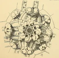 An illustration from Examples of English medieval foliage and coloured decoration, taken from buildings of the twelfth to the fifteenth century: with descriptive letterpress (1874)