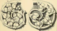 An illustration from Examples of English medieval foliage and coloured decoration, taken from buildings of the twelfth to the fifteenth century: with descriptive letterpress (1874)