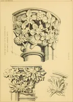 An illustration from Examples of English medieval foliage and coloured decoration, taken from buildings of the twelfth to the fifteenth century: with descriptive letterpress (1874)