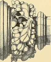 An illustration from Examples of English medieval foliage and coloured decoration, taken from buildings of the twelfth to the fifteenth century: with descriptive letterpress (1874)