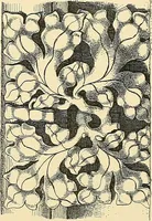 An illustration from Examples of English medieval foliage and coloured decoration, taken from buildings of the twelfth to the fifteenth century: with descriptive letterpress (1874)