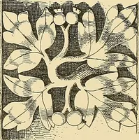 An illustration from Examples of English medieval foliage and coloured decoration, taken from buildings of the twelfth to the fifteenth century: with descriptive letterpress (1874)