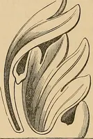 An illustration from Examples of English medieval foliage and coloured decoration, taken from buildings of the twelfth to the fifteenth century: with descriptive letterpress (1874)