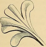 An illustration from Examples of English medieval foliage and coloured decoration, taken from buildings of the twelfth to the fifteenth century: with descriptive letterpress (1874)