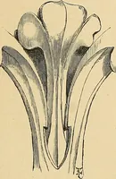 An illustration from Examples of English medieval foliage and coloured decoration, taken from buildings of the twelfth to the fifteenth century: with descriptive letterpress (1874)