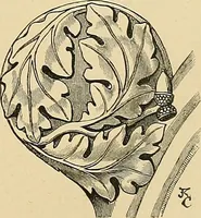 An illustration from Examples of English medieval foliage and coloured decoration, taken from buildings of the twelfth to the fifteenth century: with descriptive letterpress (1874)