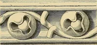 An illustration from Examples of English medieval foliage and coloured decoration, taken from buildings of the twelfth to the fifteenth century: with descriptive letterpress (1874)