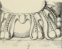 An illustration from Examples of English mediaeval foliage and coloured decoration, taken from buildings of the twelfth to the fifteenth century: with descriptive letterpress (1874)
