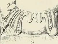 An illustration from Examples of English mediaeval foliage and coloured decoration, taken from buildings of the twelfth to the fifteenth century: with descriptive letterpress (1874)