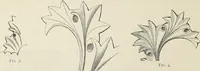 An illustration from Examples of English mediaeval foliage and coloured decoration, taken from buildings of the twelfth to the fifteenth century: with descriptive letterpress (1874)