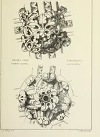 An illustration from Examples of English mediaeval foliage and coloured decoration, taken from buildings of the twelfth to the fifteenth century: with descriptive letterpress (1874)