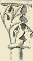 An illustration from Examples of English mediaeval foliage and coloured decoration, taken from buildings of the twelfth to the fifteenth century: with descriptive letterpress (1874)