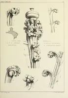An illustration from Examples of English mediaeval foliage and coloured decoration, taken from buildings of the twelfth to the fifteenth century: with descriptive letterpress (1874)