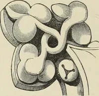 An illustration from Examples of English mediaeval foliage and coloured decoration, taken from buildings of the twelfth to the fifteenth century: with descriptive letterpress (1874)