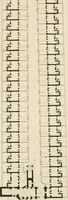 An illustration from Examples of Gothic architecture : selected from various antient edifices in England, consisting of plans, elevations, sections, and parts at large ... accompanied by historical and descriptive accounts (1838)
