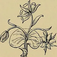 An illustration from Examples of the works of art in the Museum and of the decorations of the building, with brief descriptions (1881)