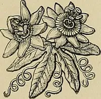 Picture 80 of 144 from Examples of the works of art in the Museum and of the decorations of the building, with brief descriptions (1881), leaf 211