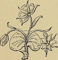 Picture 16 of 144 from Examples of the works of art in the Museum and of the decorations of the building, with brief descriptions (1881), leaf 39