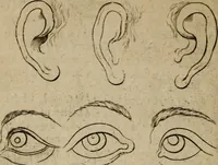 An illustration from The excellency of the pen and pencil, exemplifying the uses of them in the most exquisite and mysterious arts of drawing, etching, engraving, limning, painting in oyl, washing of maps & pictures : also the way to cleanse any old painting, and preserve the colours : collected from the writings of the ablest masters both antient and modern .. (1688)