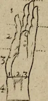 An illustration from The excellency of the pen and pencil, exemplifying the uses of them in the most exquisite and mysterious arts of drawing, etching, engraving, limning, painting in oyl, washing of maps & pictures : also the way to cleanse any old painting, and preserve the colours : collected from the writings of the ablest masters both antient and modern .. (1688)