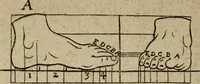 An illustration from The excellency of the pen and pencil, exemplifying the uses of them in the most exquisite and mysterious arts of drawing, etching, engraving, limning, painting in oyl, washing of maps & pictures : also the way to cleanse any old painting, and preserve the colours : collected from the writings of the ablest masters both antient and modern .. (1688)