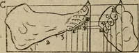 An illustration from The excellency of the pen and pencil, exemplifying the uses of them in the most exquisite and mysterious arts of drawing, etching, engraving, limning, painting in oyl, washing of maps & pictures : also the way to cleanse any old painting, and preserve the colours : collected from the writings of the ablest masters both antient and modern .. (1688)