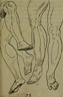 An illustration from The excellency of the pen and pencil, exemplifying the uses of them in the most exquisite and mysterious arts of drawing, etching, engraving, limning, painting in oyl, washing of maps & pictures : also the way to cleanse any old painting, and preserve the colours : collected from the writings of the ablest masters both antient and modern .. (1688)