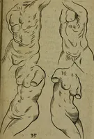 An illustration from The excellency of the pen and pencil, exemplifying the uses of them in the most exquisite and mysterious arts of drawing, etching, engraving, limning, painting in oyl, washing of maps & pictures : also the way to cleanse any old painting, and preserve the colours : collected from the writings of the ablest masters both antient and modern .. (1688)
