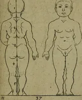 An illustration from The excellency of the pen and pencil, exemplifying the uses of them in the most exquisite and mysterious arts of drawing, etching, engraving, limning, painting in oyl, washing of maps & pictures : also the way to cleanse any old painting, and preserve the colours : collected from the writings of the ablest masters both antient and modern .. (1688)