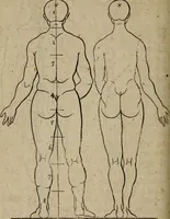 An illustration from The excellency of the pen and pencil, exemplifying the uses of them in the most exquisite and mysterious arts of drawing, etching, engraving, limning, painting in oyl, washing of maps & pictures : also the way to cleanse any old painting, and preserve the colours : collected from the writings of the ablest masters both antient and modern .. (1688)