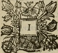 An illustration from The excellency of the pen and pencil, exemplifying the uses of them in the most exquisite and mysterious arts of drawing, etching, engraving, limning. Painting in oyl, washing of maps & pictures. Also the way to cleanse any old painting, and preserve the colours. Collected from the writings of the ablest masters, both antient and modern, as Albert Durer, P. Lomantius, and divers others. Furnished with divers cuts in copper, being copied from the best masters, and here inserted for examples for the learner to practice by .. (1668)