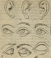 An illustration from The excellency of the pen and pencil, exemplifying the uses of them in the most exquisite and mysterious arts of drawing, etching, engraving, limning. Painting in oyl, washing of maps & pictures. Also the way to cleanse any old painting, and preserve the colours. Collected from the writings of the ablest masters, both antient and modern, as Albert Durer, P. Lomantius, and divers others. Furnished with divers cuts in copper, being copied from the best masters, and here inserted for examples for the learner to practice by .. (1668)
