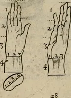 An illustration from The excellency of the pen and pencil, exemplifying the uses of them in the most exquisite and mysterious arts of drawing, etching, engraving, limning. Painting in oyl, washing of maps & pictures. Also the way to cleanse any old painting, and preserve the colours. Collected from the writings of the ablest masters, both antient and modern, as Albert Durer, P. Lomantius, and divers others. Furnished with divers cuts in copper, being copied from the best masters, and here inserted for examples for the learner to practice by .. (1668)