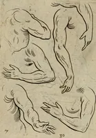 An illustration from The excellency of the pen and pencil, exemplifying the uses of them in the most exquisite and mysterious arts of drawing, etching, engraving, limning. Painting in oyl, washing of maps & pictures. Also the way to cleanse any old painting, and preserve the colours. Collected from the writings of the ablest masters, both antient and modern, as Albert Durer, P. Lomantius, and divers others. Furnished with divers cuts in copper, being copied from the best masters, and here inserted for examples for the learner to practice by .. (1668)