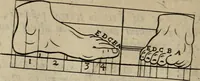 An illustration from The excellency of the pen and pencil, exemplifying the uses of them in the most exquisite and mysterious arts of drawing, etching, engraving, limning. Painting in oyl, washing of maps & pictures. Also the way to cleanse any old painting, and preserve the colours. Collected from the writings of the ablest masters, both antient and modern, as Albert Durer, P. Lomantius, and divers others. Furnished with divers cuts in copper, being copied from the best masters, and here inserted for examples for the learner to practice by .. (1668)