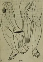 An illustration from The excellency of the pen and pencil, exemplifying the uses of them in the most exquisite and mysterious arts of drawing, etching, engraving, limning. Painting in oyl, washing of maps & pictures. Also the way to cleanse any old painting, and preserve the colours. Collected from the writings of the ablest masters, both antient and modern, as Albert Durer, P. Lomantius, and divers others. Furnished with divers cuts in copper, being copied from the best masters, and here inserted for examples for the learner to practice by .. (1668)
