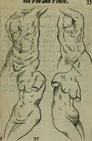 An illustration from The excellency of the pen and pencil, exemplifying the uses of them in the most exquisite and mysterious arts of drawing, etching, engraving, limning. Painting in oyl, washing of maps & pictures. Also the way to cleanse any old painting, and preserve the colours. Collected from the writings of the ablest masters, both antient and modern, as Albert Durer, P. Lomantius, and divers others. Furnished with divers cuts in copper, being copied from the best masters, and here inserted for examples for the learner to practice by .. (1668)