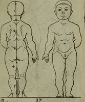An illustration from The excellency of the pen and pencil, exemplifying the uses of them in the most exquisite and mysterious arts of drawing, etching, engraving, limning. Painting in oyl, washing of maps & pictures. Also the way to cleanse any old painting, and preserve the colours. Collected from the writings of the ablest masters, both antient and modern, as Albert Durer, P. Lomantius, and divers others. Furnished with divers cuts in copper, being copied from the best masters, and here inserted for examples for the learner to practice by .. (1668)
