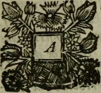 An illustration from The excellency of the pen and pencil, exemplifying the uses of them in the most exquisite and mysterious arts of drawing, etching, engraving, limning. Painting in oyl, washing of maps & pictures. Also the way to cleanse any old painting, and preserve the colours. Collected from the writings of the ablest masters, both antient and modern, as Albert Durer, P. Lomantius, and divers others. Furnished with divers cuts in copper, being copied from the best masters, and here inserted for examples for the learner to practice by .. (1668)