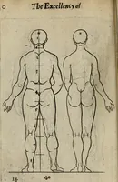 An illustration from The excellency of the pen and pencil, exemplifying the uses of them in the most exquisite and mysterious arts of drawing, etching, engraving, limning. Painting in oyl, washing of maps & pictures. Also the way to cleanse any old painting, and preserve the colours. Collected from the writings of the ablest masters, both antient and modern, as Albert Durer, P. Lomantius, and divers others. Furnished with divers cuts in copper, being copied from the best masters, and here inserted for examples for the learner to practice by .. (1668)