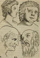 An illustration from The excellency of the pen and pencil, exemplifying the uses of them in the most exquisite and mysterious arts of drawing, etching, engraving, limning. Painting in oyl, washing of maps & pictures. Also the way to cleanse any old painting, and preserve the colours. Collected from the writings of the ablest masters, both antient and modern, as Albert Durer, P. Lomantius, and divers others. Furnished with divers cuts in copper, being copied from the best masters, and here inserted for examples for the learner to practice by .. (1668)
